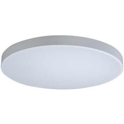Потолочный светильник Axel 10002/48 White
