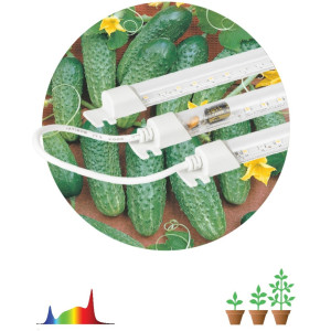 Светильник для растений  FITO-3х10W-LINE-Ra90