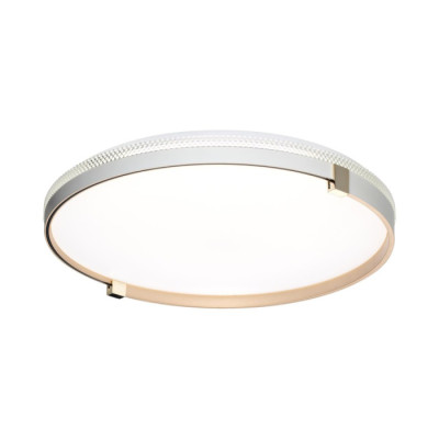 Настенно-потолочный светильник Olidi White 7646/DLN