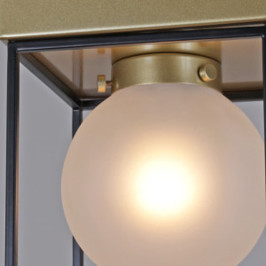 Потолочный светильник  IL0050-1C-79