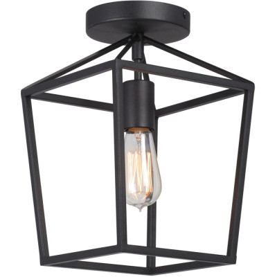 Потолочный светильник  V3766-1/1PL