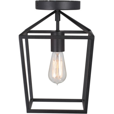 Потолочный светильник  V3766-1/1PL